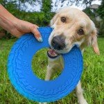 Nerf Dog 10" Blue Tire Flyer Toy
