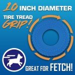 Nerf Dog 10" Blue Tire Flyer Toy