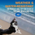 Nerf Dog 10" Blue Tire Flyer Toy