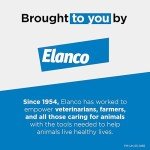 Advantage Chewable Flea & Tick Tablets for Dogs