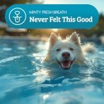 OMNI Dog Breath Freshener - One-a-Day Peppermint