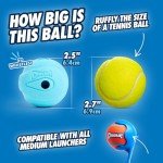 Chuckit! Interactive Whistling Dog Balls - 2 Pack