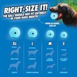 Chuckit! Interactive Whistling Dog Balls - 2 Pack
