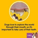 Pedigree Dentastix Dental Chews for Small Dogs