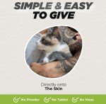 Wormwood Drops for Dogs & Cats - Natural Care