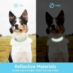 Custom Reflective Dog Collars with Name & Number