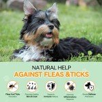 Carmelie Natural Flea & Tick Chews for Dogs
