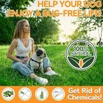 Carmelie Natural Flea & Tick Chews for Dogs