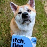 Flea, Tick & Wormer Bundle for Large Dogs