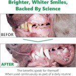 Dental Powder for Dogs & Cats - Fresh Breath