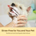 Teeth Cleaning Wipes for Dogs and Cats