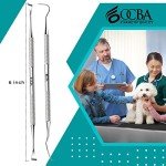 Double-Headed Pet Dental Care Tool Set