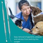 Double-Headed Pet Dental Care Tool Set