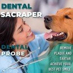 Double-Headed Pet Dental Care Tool Set