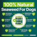 Dr. Senst Plaque Off Powder for Dogs 185g