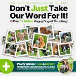 Dr. Senst Plaque Off Powder for Dogs 185g