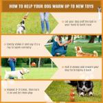 Interactive Motion-Activated Rolling Ball Toy for Small-Medium Dogs