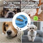 Feixun Pets Rubber Dog Treat Toys (Pack of 2)