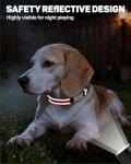 Personalized Reflective Padded Dog Collar, Red