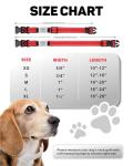Personalized Reflective Padded Dog Collar, Red