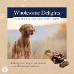 Hollings Natural Beef Jerky Dog Treats 100g