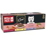 CESAR Gravy Adult Dog Food Pouches - 40 Pack