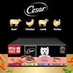 CESAR Gravy Adult Dog Food Pouches - 40 Pack