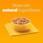 Pedigree Mixed Selection Wet Dog Food, 6-Pack