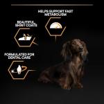 Purina Pro Plan Small & Mini Adult Dog Food