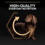 Purina Pro Plan Small & Mini Adult Dog Food