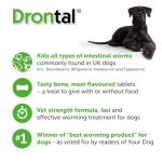 Drontal Plus XL Flavored Dog Wormer Tablet