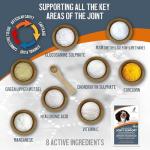 Joint Health Supplement for Dogs - 300 Tablets