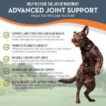 Joint Health Supplement for Dogs - 300 Tablets