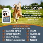 Joint Health Supplement for Dogs - 300 Tablets