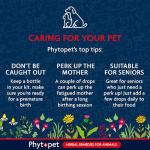 PhytoPet Herb Drops for Puppies and Seniors