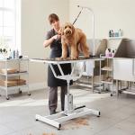 Hydraulic Adjustable Dog Grooming Table by KCT