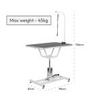 Hydraulic Adjustable Dog Grooming Table by KCT