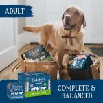 Butcher's Succulent Recipes Dog Food Trays, 1800g