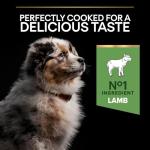 Pro Plan Sensitive Digestion Medium Puppy Food 3kg