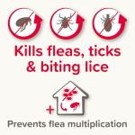 Beaphar FIPROtec® Combo for Large Dogs - 6 Pipettes