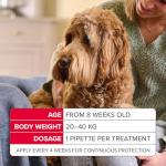 Beaphar FIPROtec® Combo for Large Dogs - 6 Pipettes