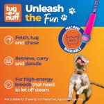 Durable Bungee Tug Toy for Interactive Dog Training