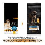 Pro Plan Large Breed Adult Dry Dog Food 14kg