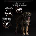 Pro Plan Large Breed Adult Dry Dog Food 14kg