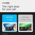Capstar Flea Tablets for Small Dogs & Cats