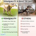 Durable Dog Tug Toy with Strong Handles