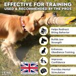 Durable Dog Tug Toy with Strong Handles