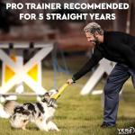 Durable Dog Tug Toy with Strong Handles