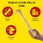 Howlers 31cm Pack of 10 Natural Dog Bones