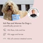 Itch Small Dog Flea, Tick & Wormer Bundle